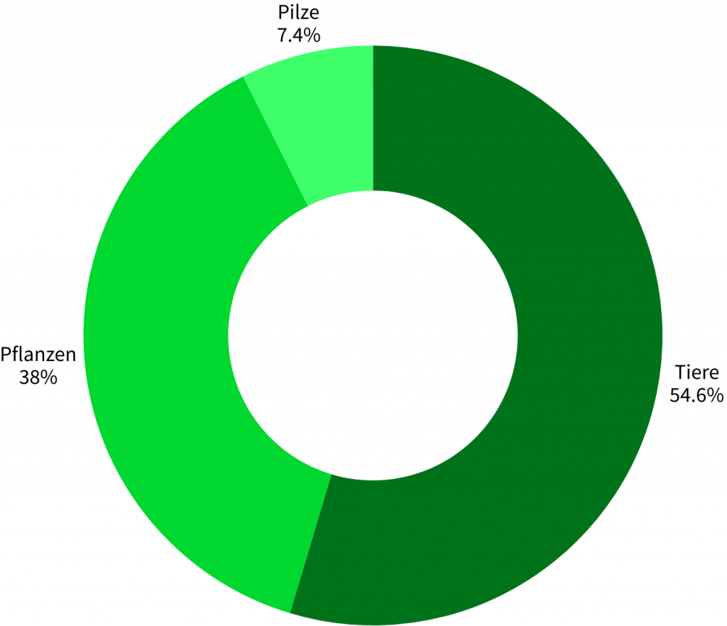 Artengruppenstatistik Halde Zollern