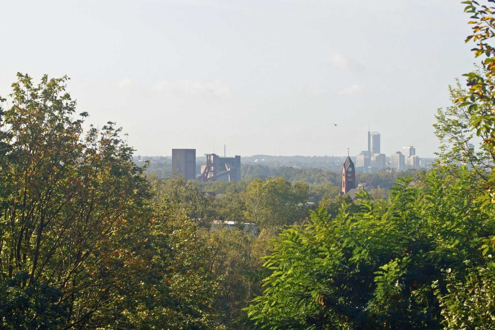 Die Halde Zollverein 4/11 bietet nur wenige Stellen mit Aussicht – an einer sind aber die Zeche Zollverein und im Hintergrund die Essener Innenstadt zu sehen, 14.10.2023