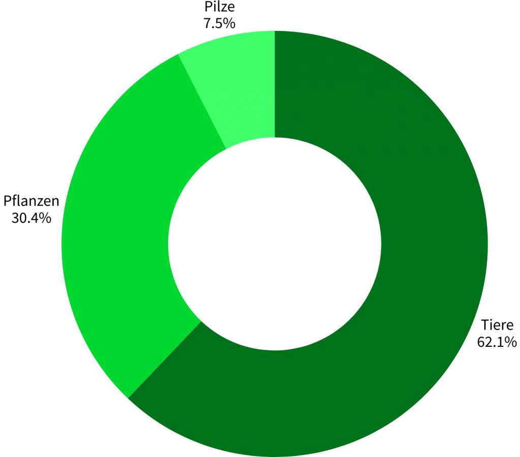 Artengruppenstatistik Halde Zollverein 4/11